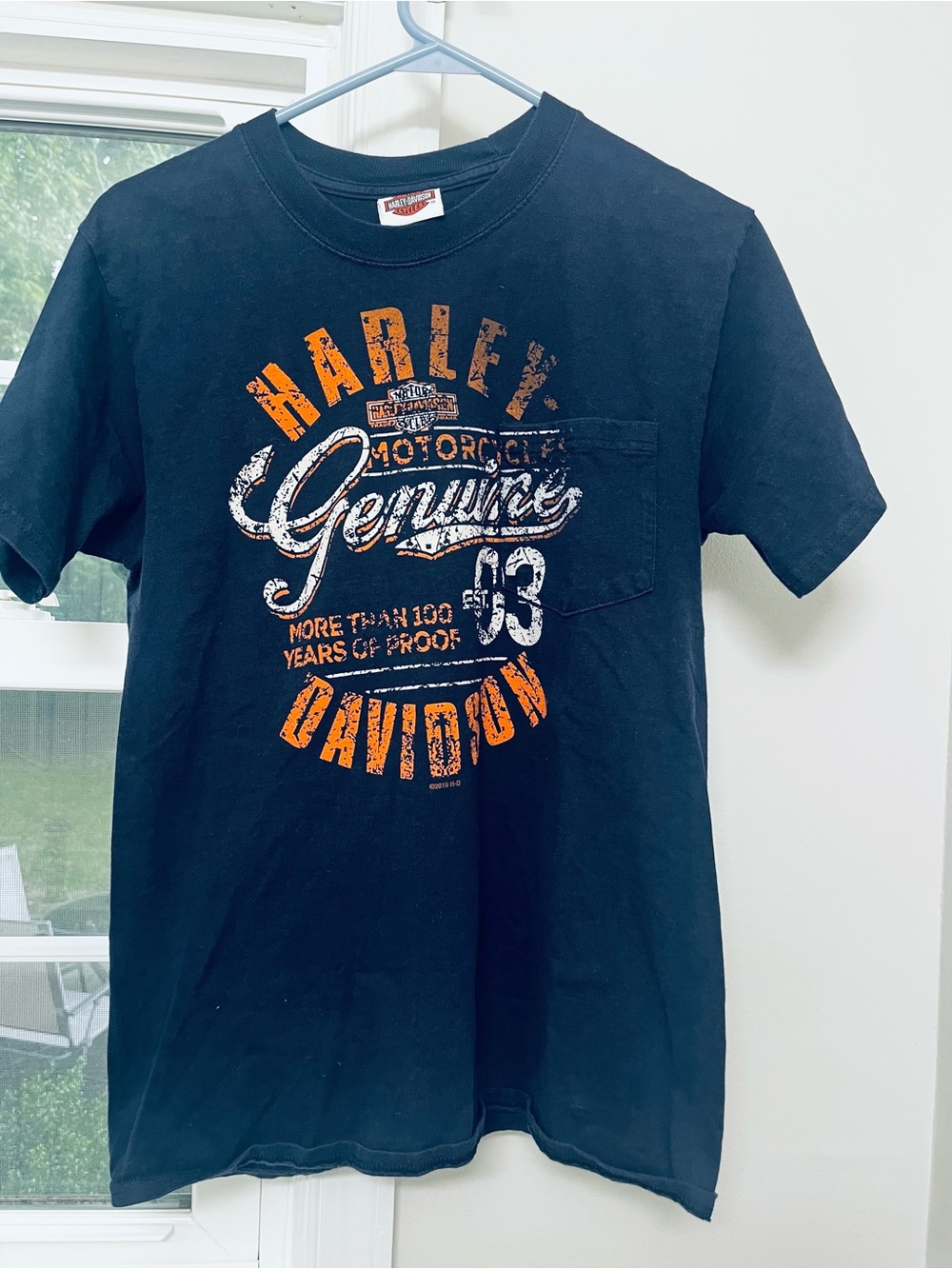 Harley-Davidson- Tail of the Dragon